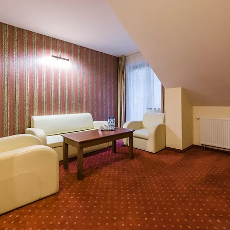 ホテル Dziki Potok Konferencje & 3*
