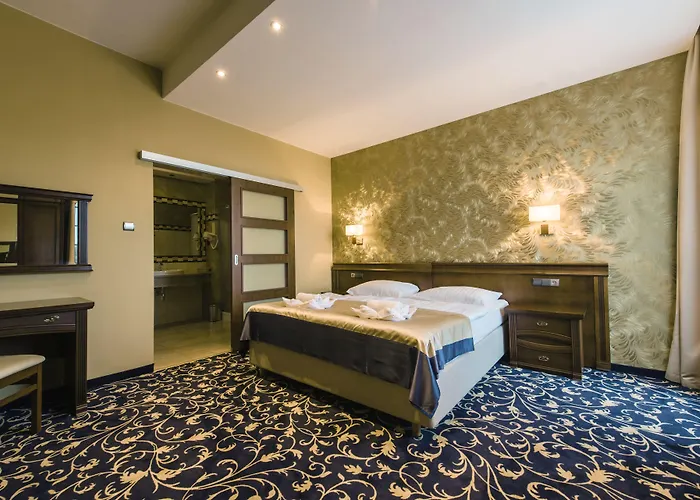 Dziki Potok Konferencje&spa Hotel