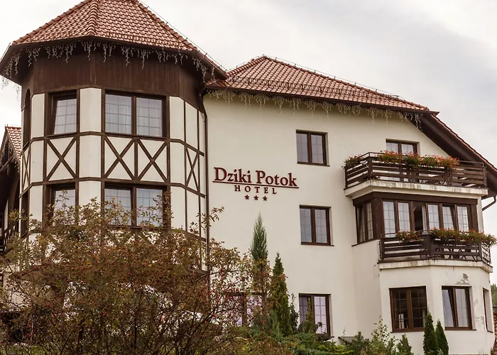 Dziki Potok Konferencje&spa 3*