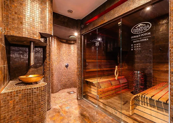 Отель Hotel Dziki Potok Karpacz Konferencje & Spa Карпач