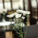 Hotel Dziki Potok Karpacz