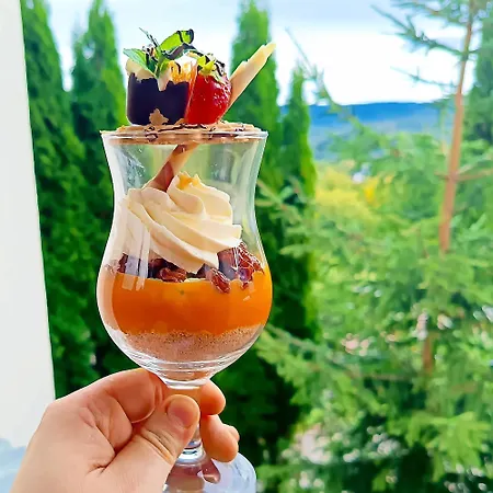 Hotel Hotel Dziki Potok Karpacz Konferencje & Spa Karpacz