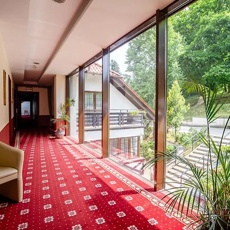 Hotel Dziki Potok Karpacz Konferencje & Spa 3*