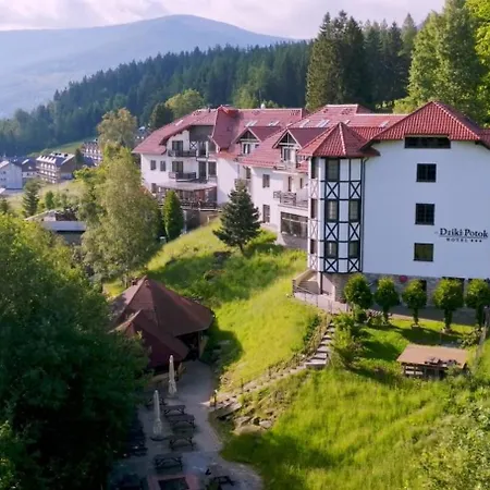 Hotel Dziki Potok Karpacz Konferencje & Spa