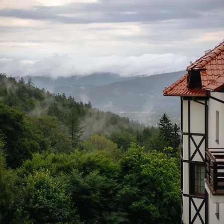 Hotel Dziki Potok Karpacz Konferencje & Spa Hotel 3*