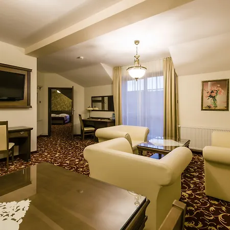 Dziki Potok Konferencje & Otel