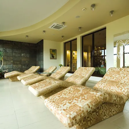 Hotel Dziki Potok Karpacz Konferencje & Spa 3*