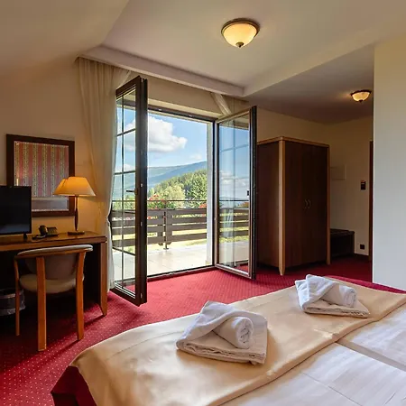 Dziki Potok Hotel